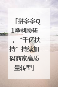拼多多Q1净利腰斩，“千亿扶持”持续加码商家高质量转型