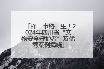 择一事终一生！2024年四川省“文物安全守护者”及优秀案例揭晓