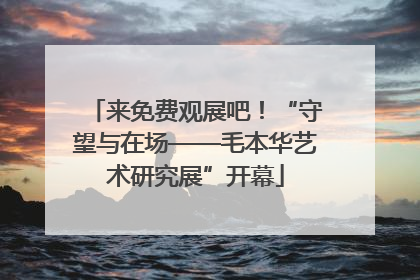 来免费观展吧！“守望与在场——毛本华艺术研究展”开幕