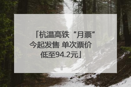 杭温高铁“月票”今起发售 单次票价低至94.2元