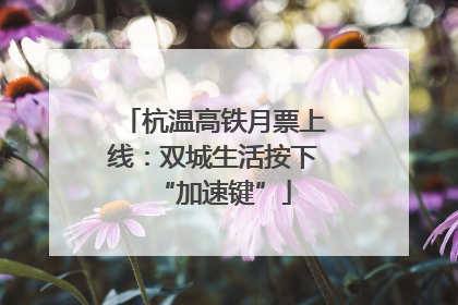 杭温高铁月票上线：双城生活按下“加速键”