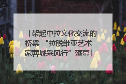 架起中拉文化交流的桥梁 “拉脱维亚艺术家蓉城采风行”落幕