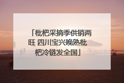 枇杷采摘季供销两旺 四川宝兴晚熟枇杷冷链发全国