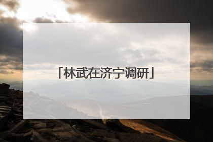 林武在济宁调研