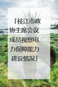 枝江市政协主席会议成员视察电力保障能力建设情况