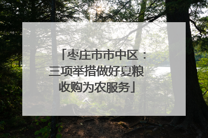 枣庄市市中区：三项举措做好夏粮收购为农服务