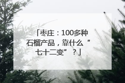 枣庄：100多种石榴产品，靠什么“七十二变”？