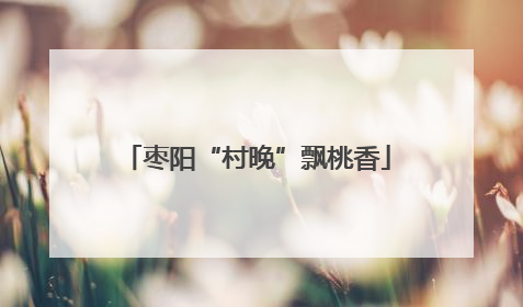 枣阳“村晚”飘桃香