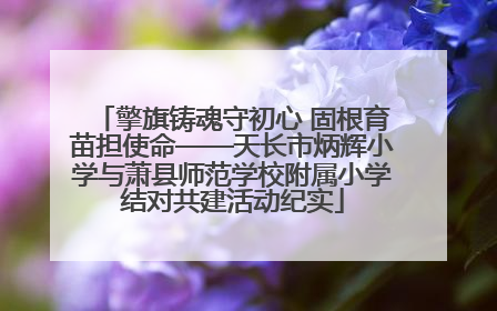 擎旗铸魂守初心 固根育苗担使命——天长市炳辉小学与萧县师范学校附属小学结对共建活动纪实