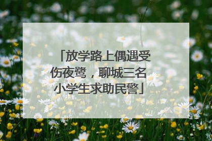 放学路上偶遇受伤夜鹭，聊城三名小学生求助民警
