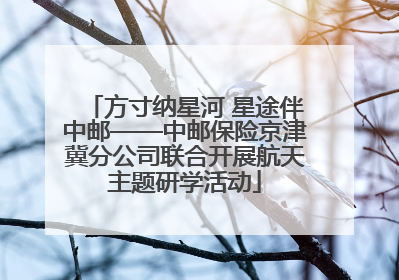 方寸纳星河 星途伴中邮——中邮保险京津冀分公司联合开展航天主题研学活动