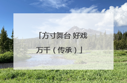 方寸舞台 好戏万千（传承）
