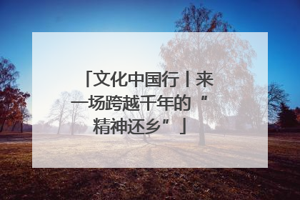 文化中国行丨来一场跨越千年的“精神还乡”