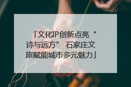 文化IP创新点亮“诗与远方” 石家庄文旅赋能城市多元魅力