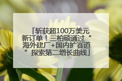 斩获超100万美元新订单！三柏硕通过“海外建厂+国内扩赛道”探索第二增长曲线