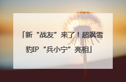 新“战友”来了！超飒雪豹IP“兵小宁”亮相