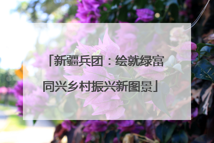 新疆兵团：绘就绿富同兴乡村振兴新图景