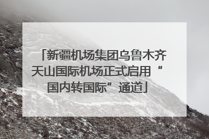 新疆机场集团乌鲁木齐天山国际机场正式启用“国内转国际”通道