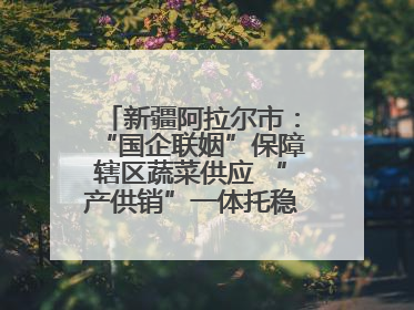 新疆阿拉尔市：“国企联姻”保障辖区蔬菜供应 “产供销”一体托稳市民菜篮子