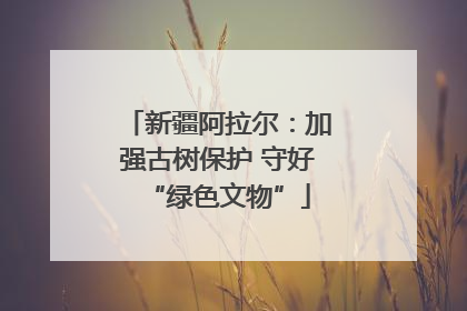 新疆阿拉尔：加强古树保护 守好“绿色文物”