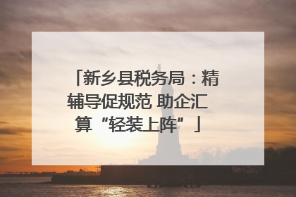 新乡县税务局：精辅导促规范 助企汇算“轻装上阵”