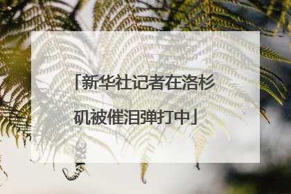 新华社记者在洛杉矶被催泪弹打中