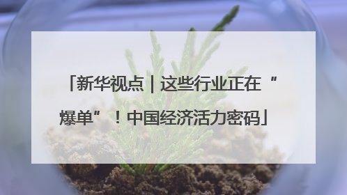 新华视点｜这些行业正在“爆单”！中国经济活力密码