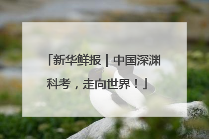 新华鲜报｜中国深渊科考，走向世界！