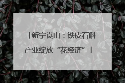 新宁崀山：铁皮石斛产业绽放“花经济”