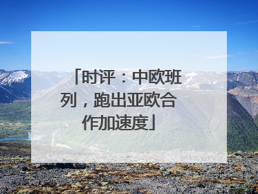 时评：中欧班列，跑出亚欧合作加速度