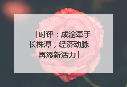 时评：成渝牵手长株潭，经济动脉再添新活力