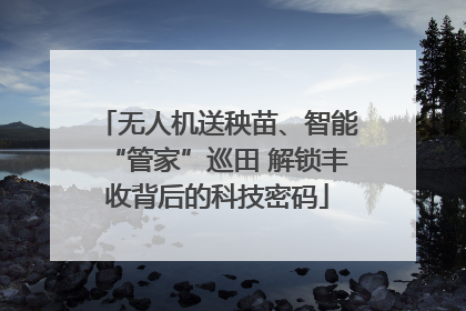 无人机送秧苗、智能“管家”巡田 解锁丰收背后的科技密码