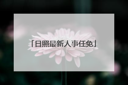 日照最新人事任免