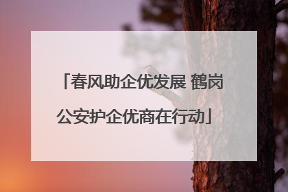 春风助企优发展 鹤岗公安护企优商在行动
