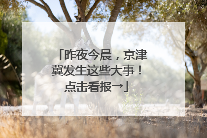 昨夜今晨，京津冀发生这些大事！点击看报→
