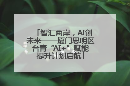 智汇两岸，AI创未来——厦门思明区台青“AI+”赋能提升计划启航