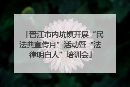 晋江市内坑镇开展“民法典宣传月”活动暨“法律明白人”培训会
