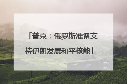 普京：俄罗斯准备支持伊朗发展和平核能