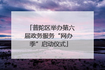 普陀区举办第六届政务服务“网办季”启动仪式