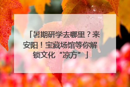 暑期研学去哪里？来安阳！宝藏场馆等你解锁文化“凉方”