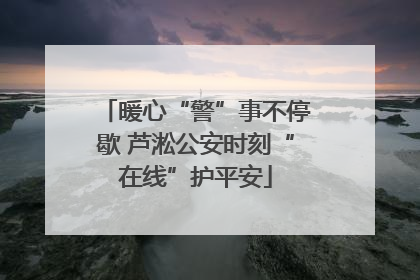 暖心“警”事不停歇 芦淞公安时刻“在线”护平安
