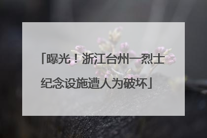 曝光！浙江台州一烈士纪念设施遭人为破坏