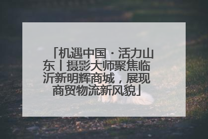 机遇中国・活力山东丨摄影大师聚焦临沂新明辉商城，展现商贸物流新风貌