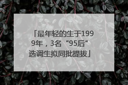 最年轻的生于1999年，3名“95后”选调生拟同批提拔