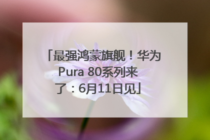 最强鸿蒙旗舰！华为Pura 80系列来了：6月11日见