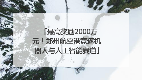 最高奖励2000万元！郑州航空港竞逐机器人与人工智能赛道