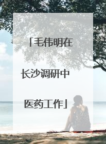 毛伟明在长沙调研中医药工作