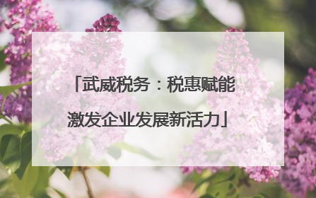 武威税务：税惠赋能 激发企业发展新活力