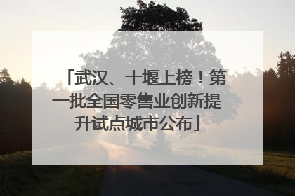 武汉、十堰上榜！第一批全国零售业创新提升试点城市公布