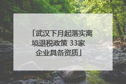 武汉下月起落实离境退税政策 33家企业具备资质